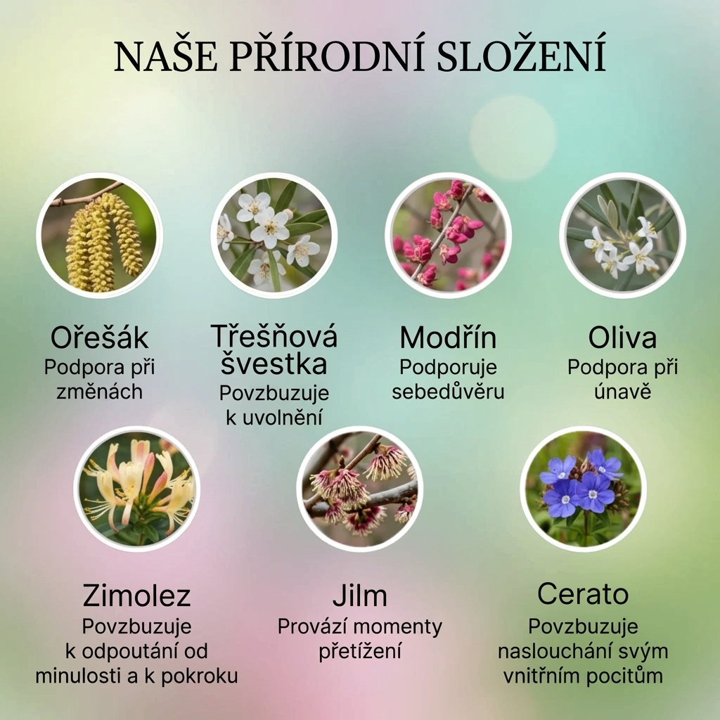 Bachovy květy na menopauzu – rovnováha & vnitřní komfort